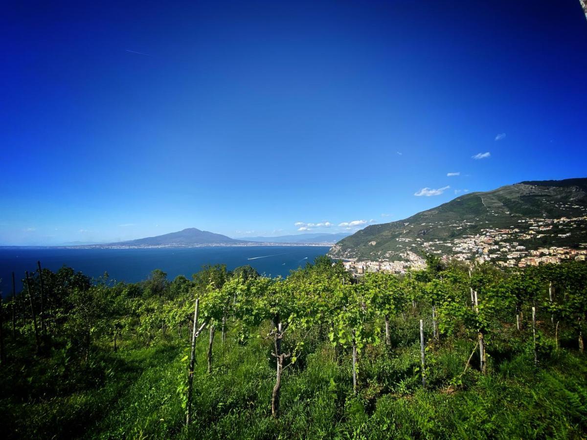 La Badia Montechiaro - Breathtaking View Of Sorrento Coast Villa Vico Equense Eksteriør bilde