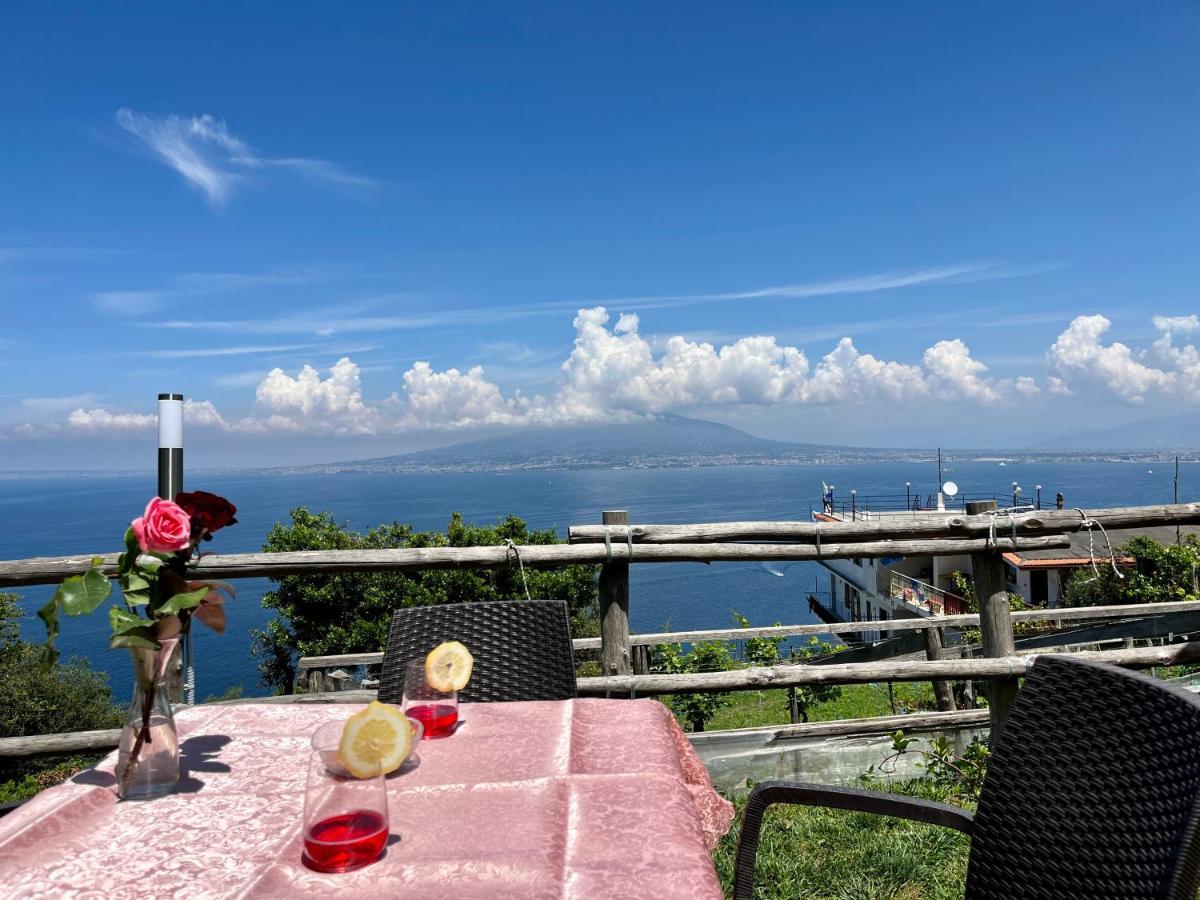 La Badia Montechiaro - Breathtaking View Of Sorrento Coast Villa Vico Equense Eksteriør bilde
