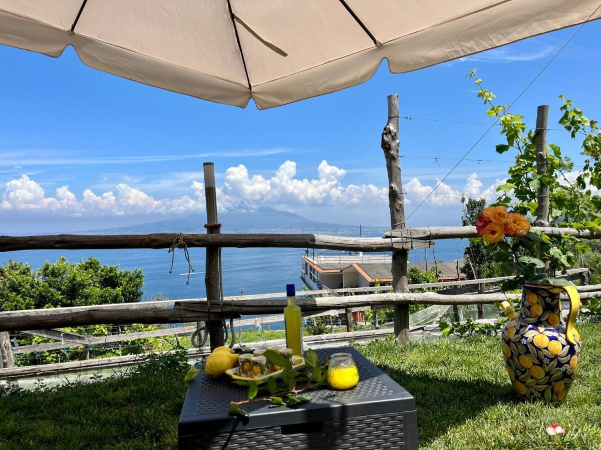 La Badia Montechiaro - Breathtaking View Of Sorrento Coast Villa Vico Equense Eksteriør bilde
